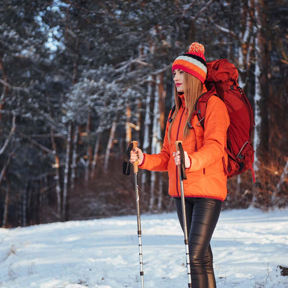Guide to Whistler